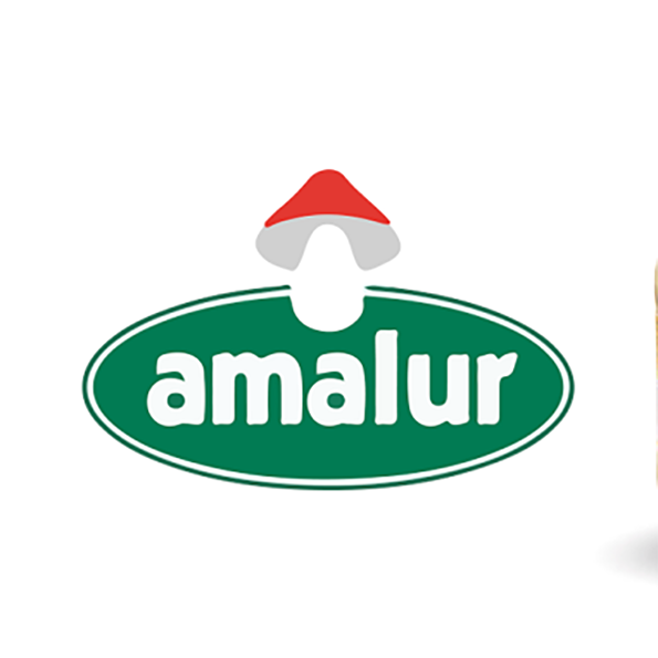 logo AMALUR